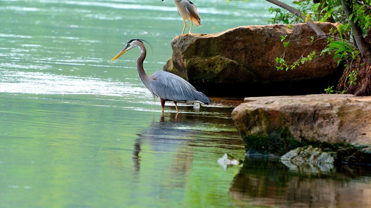 Best Gentle Lake Walks for All Abilities