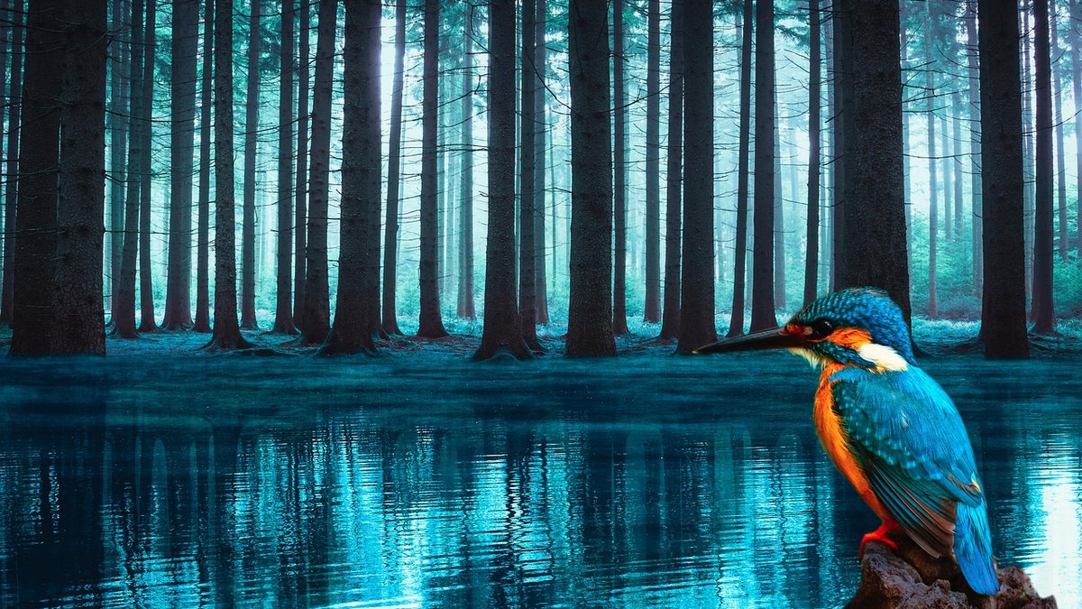Finding Peaceful Fishing Spots on Rivers