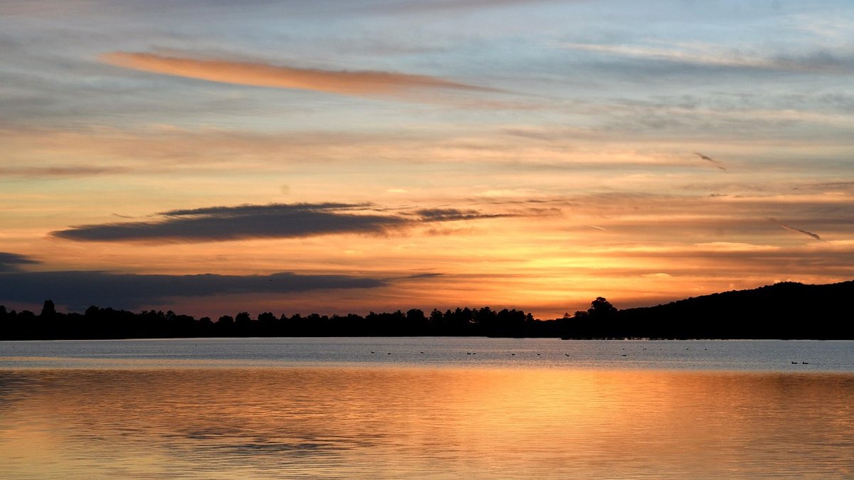 Understanding Lake Ecology for Curious Visitors